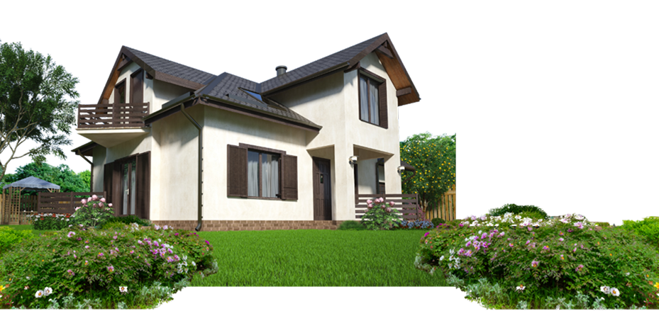 Why Choose Sandora Premix